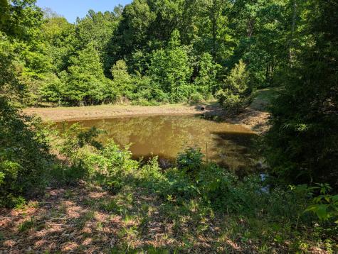 456 Walker Ridge Road Big Rock TN 37023