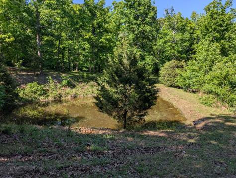 456 Walker Ridge Road Big Rock TN 37023