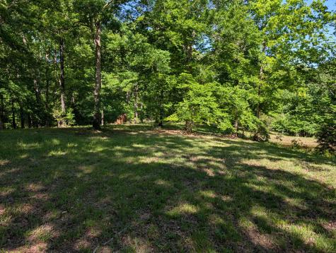 456 Walker Ridge Road Big Rock TN 37023