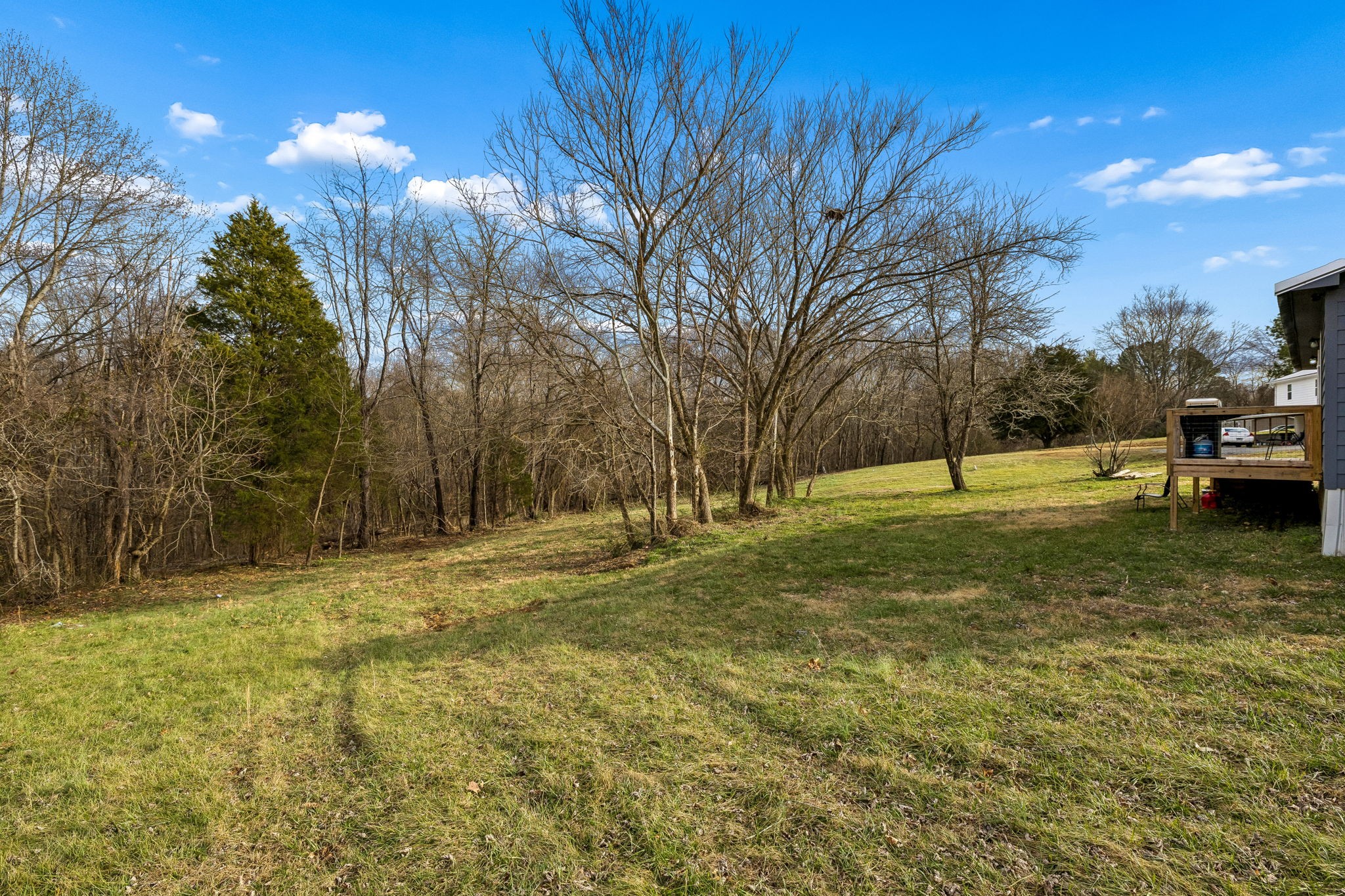 2717 Longstreet Avenue Pleasant View TN 37146