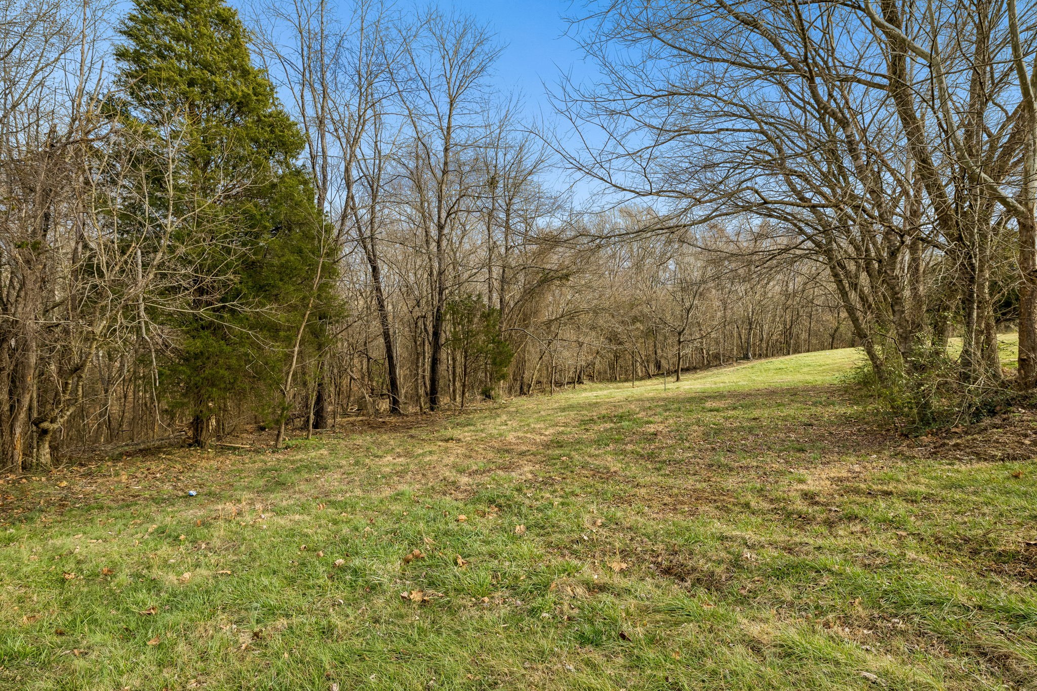 2717 Longstreet Avenue Pleasant View TN 37146