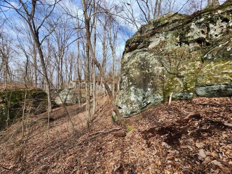 203 Crestview Lane Sparta TN 38583