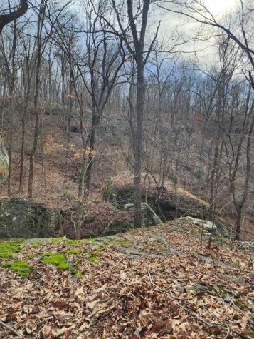 203 Crestview Lane Sparta TN 38583