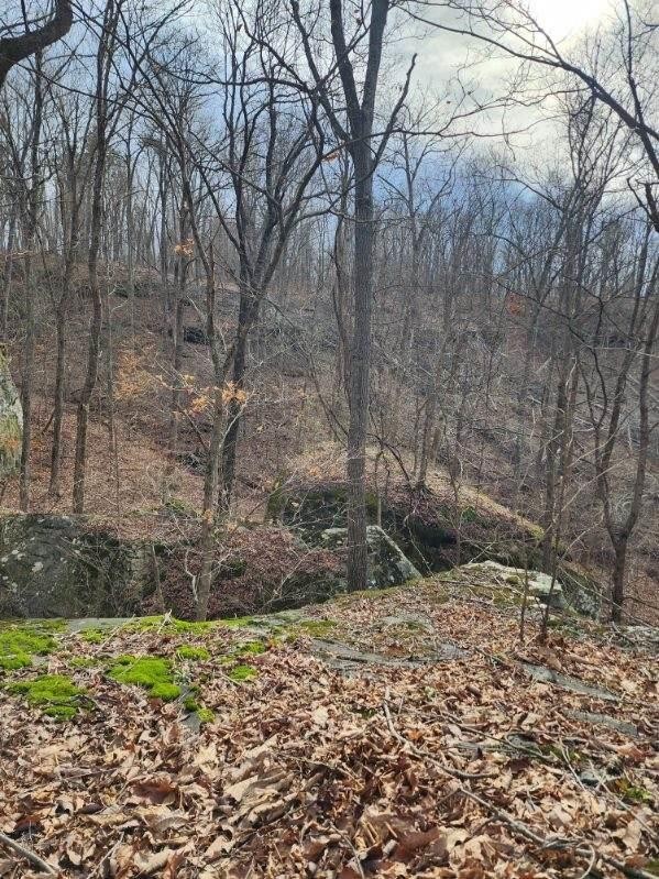 203 Crestview Lane Sparta TN 38583