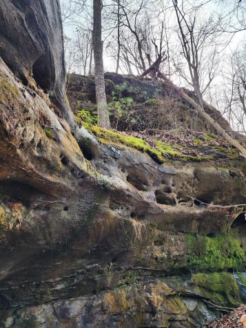 203 Crestview Lane Sparta TN 38583