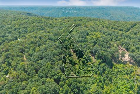 203 Crestview Lane Sparta TN 38583