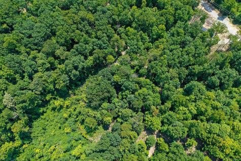 203 Crestview Lane Sparta TN 38583