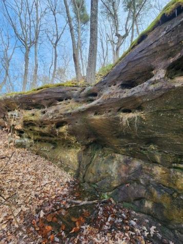 203 Crestview Lane Sparta TN 38583