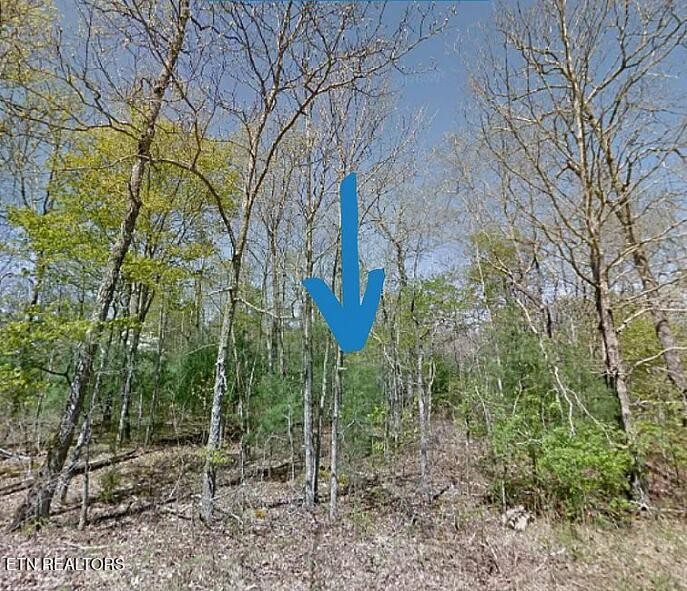 408 Acoma Drive Crossville TN 38572