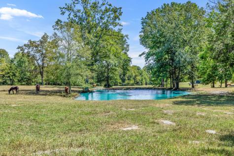 11991 Stewarts Ferry Pike Lebanon TN 37090