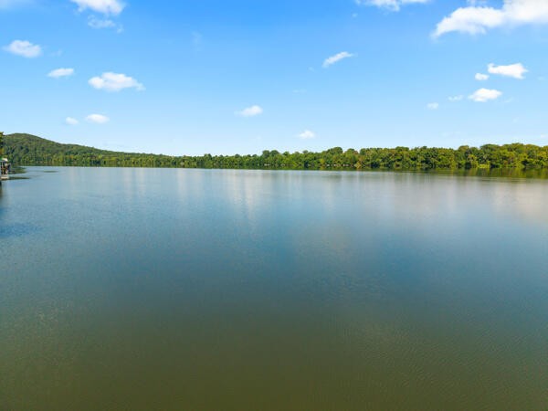 343 Russell Lane Decatur TN 37322