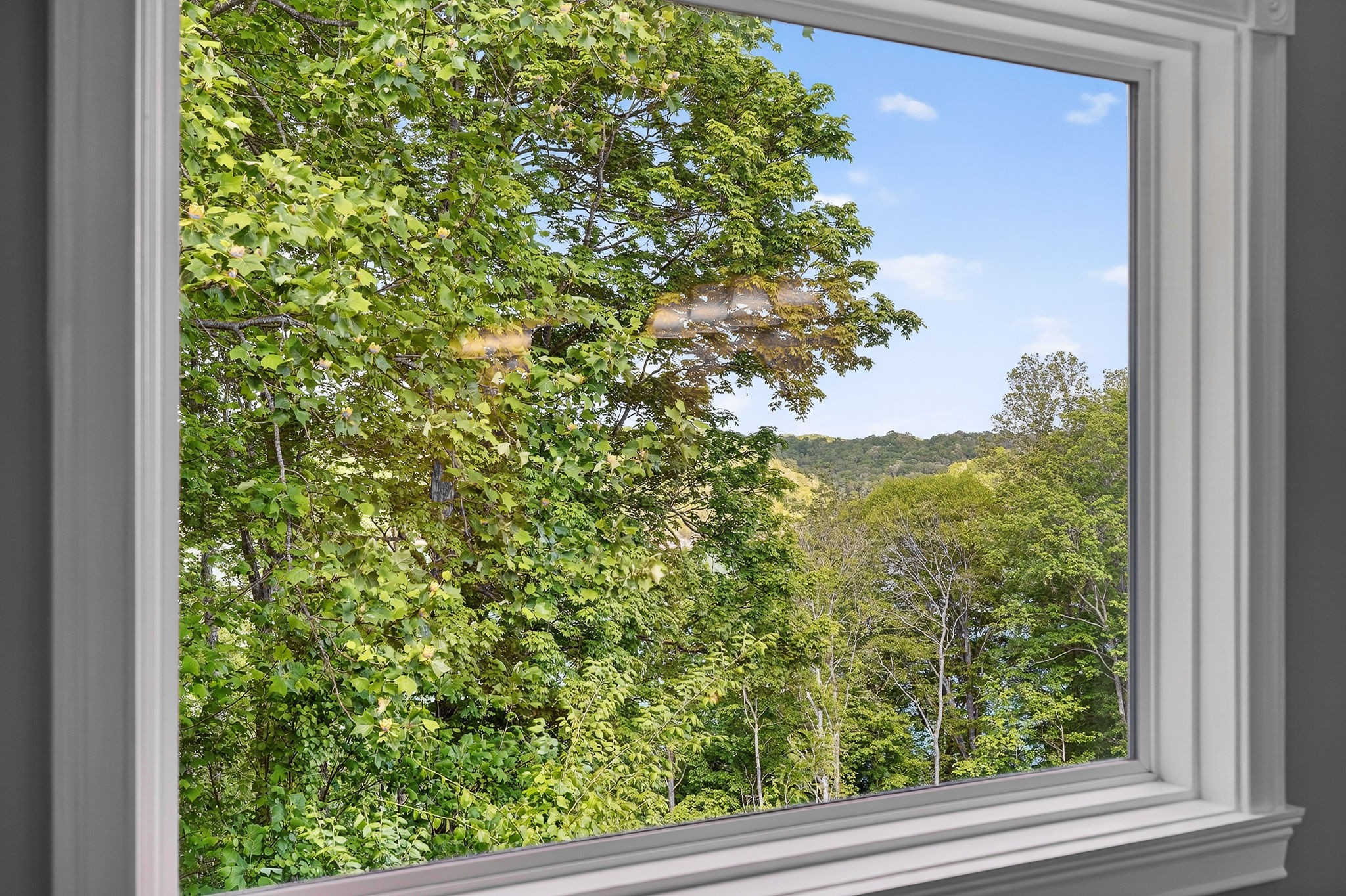 487 Cedar Hill Road Celina TN 38551