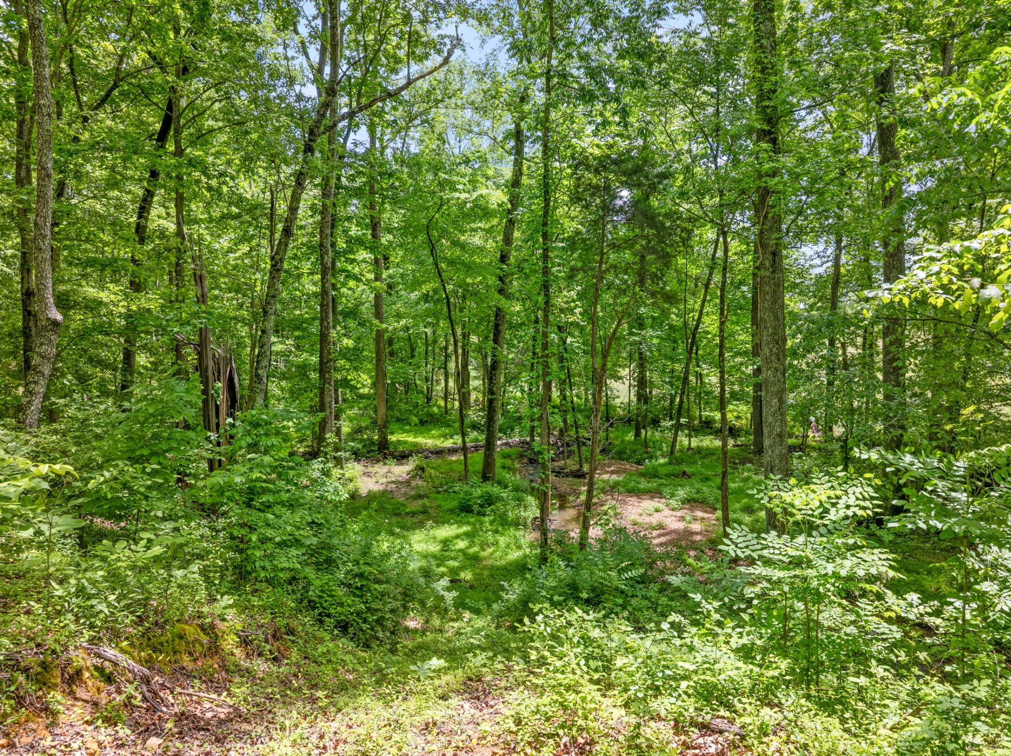 3791 Sylvia Road Dickson TN 37055