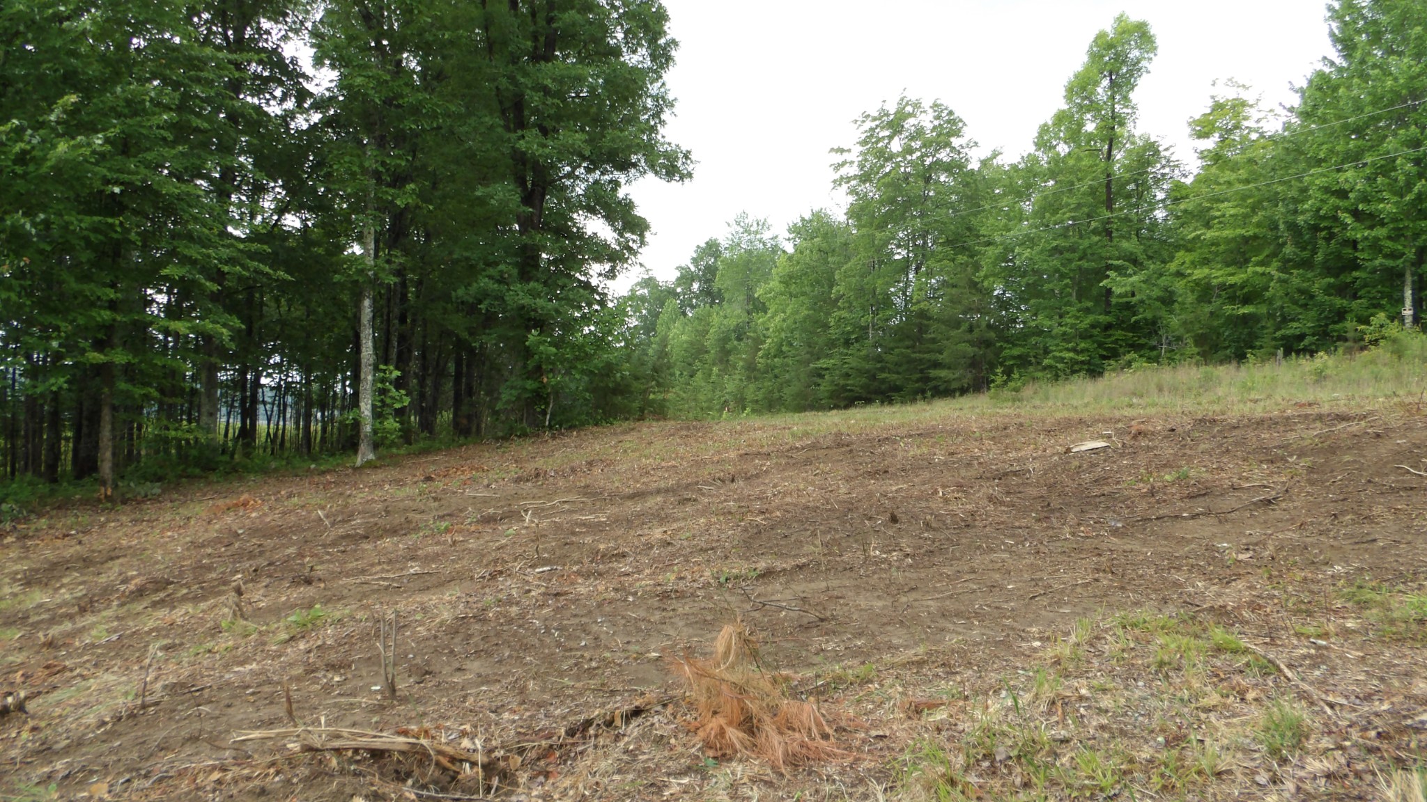 442 Valley View Circle Wilder TN 38589