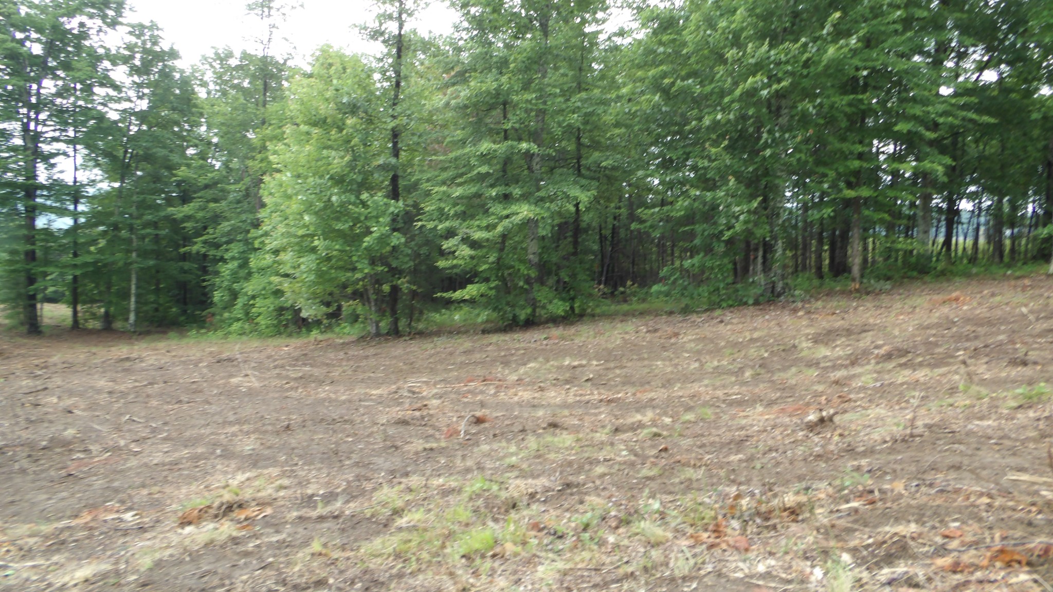 442 Valley View Circle Wilder TN 38589