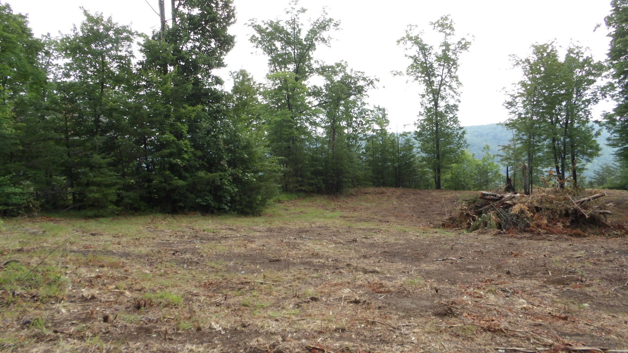 442 Valley View Circle Wilder TN 38589