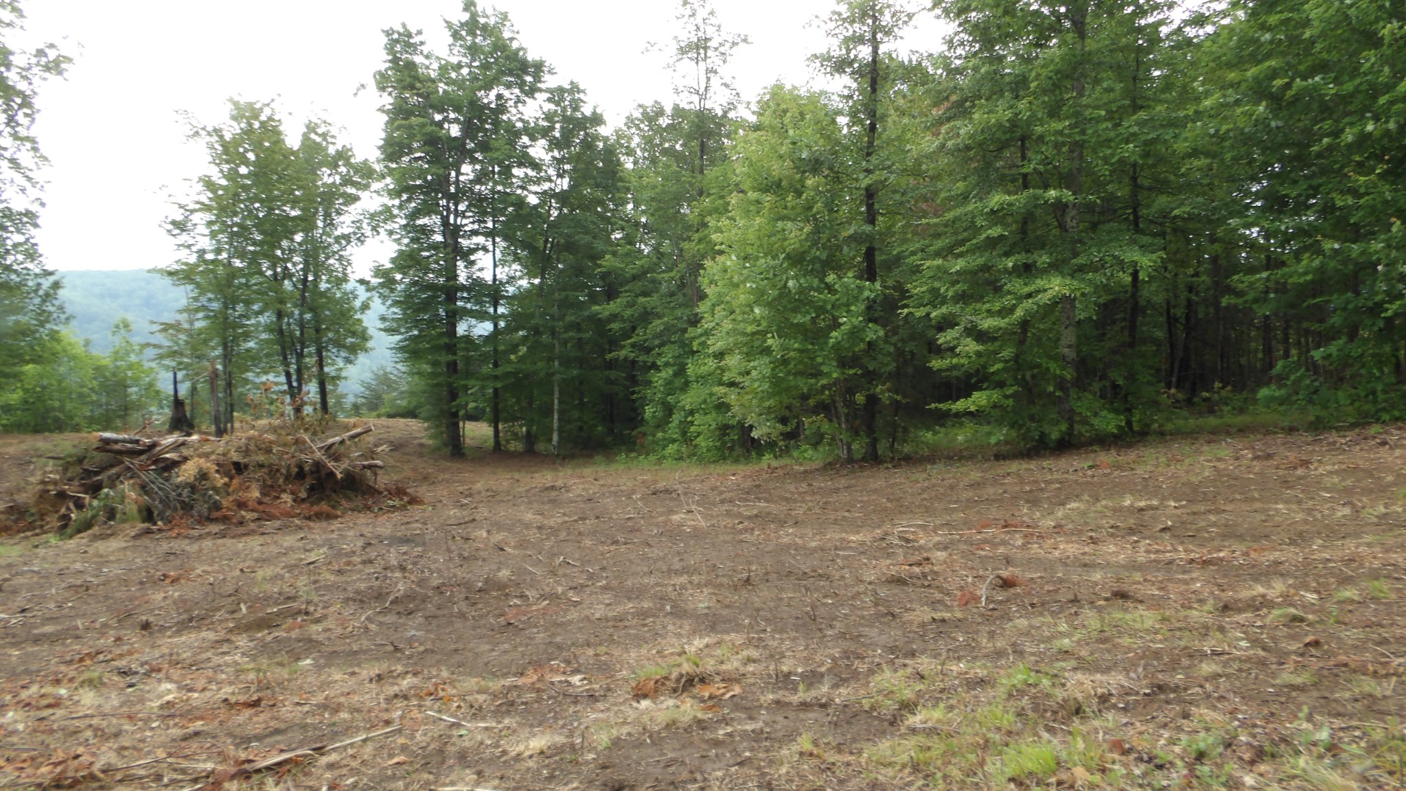 442 Valley View Circle Wilder TN 38589