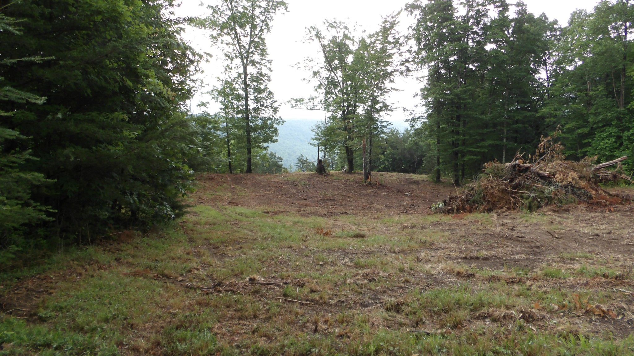 442 Valley View Circle Wilder TN 38589