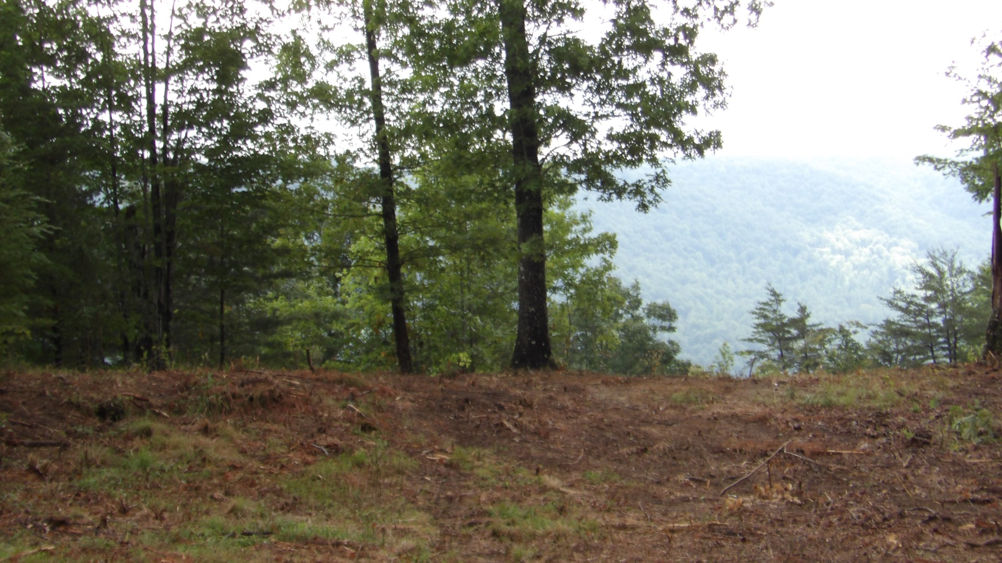 442 Valley View Circle Wilder TN 38589