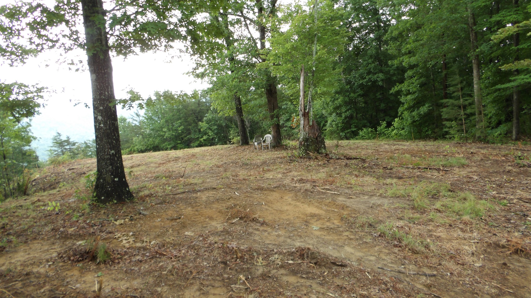 442 Valley View Circle Wilder TN 38589