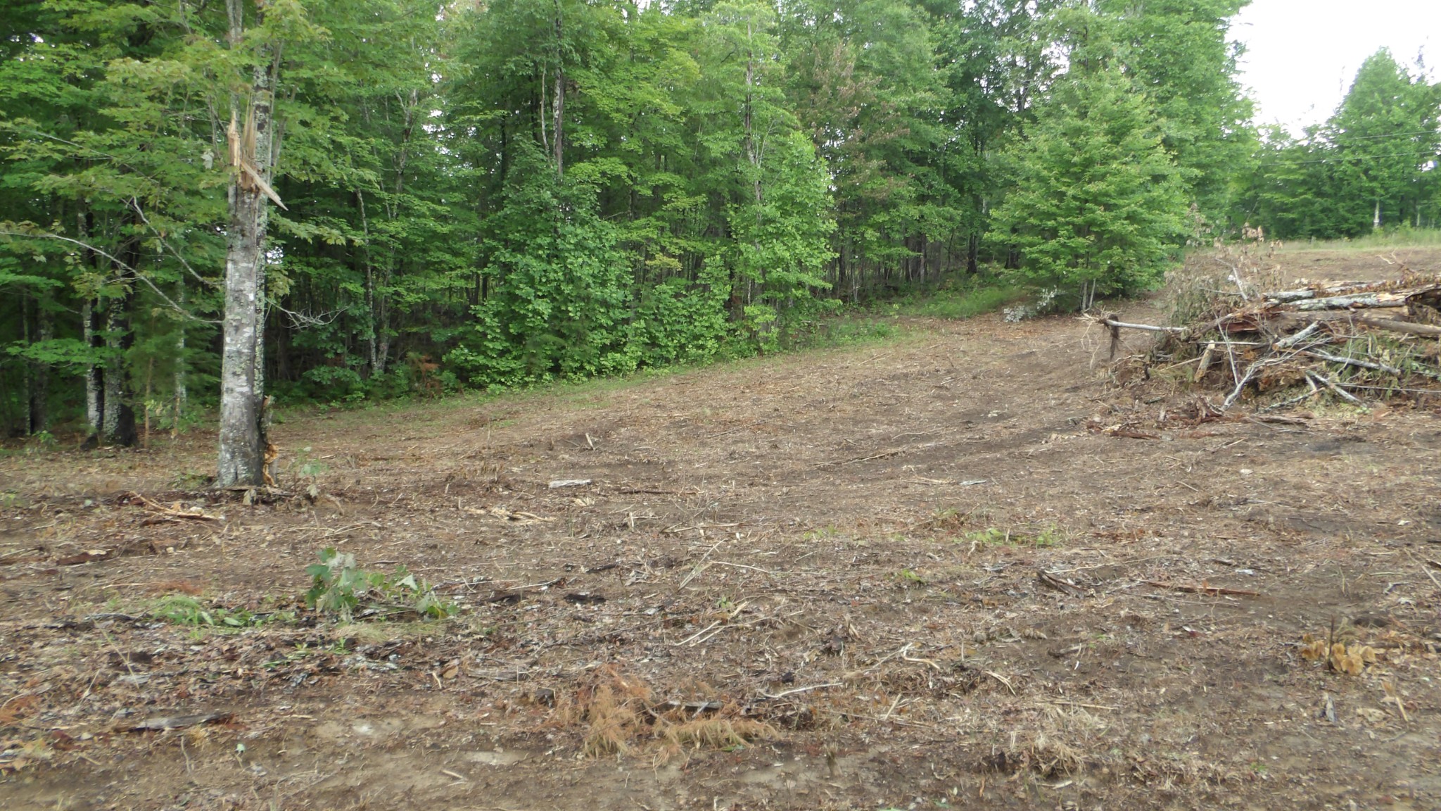 442 Valley View Circle Wilder TN 38589