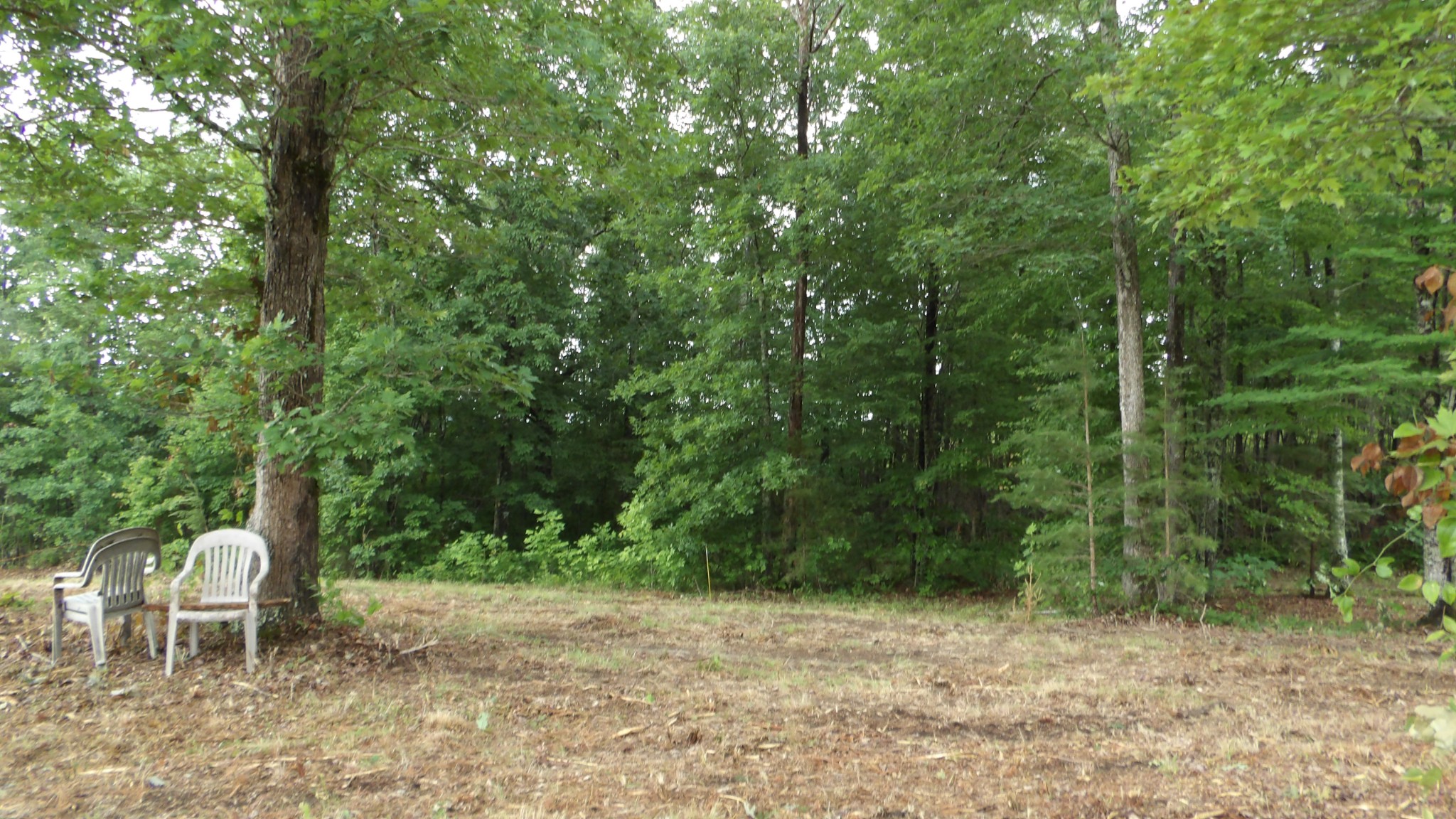 442 Valley View Circle Wilder TN 38589