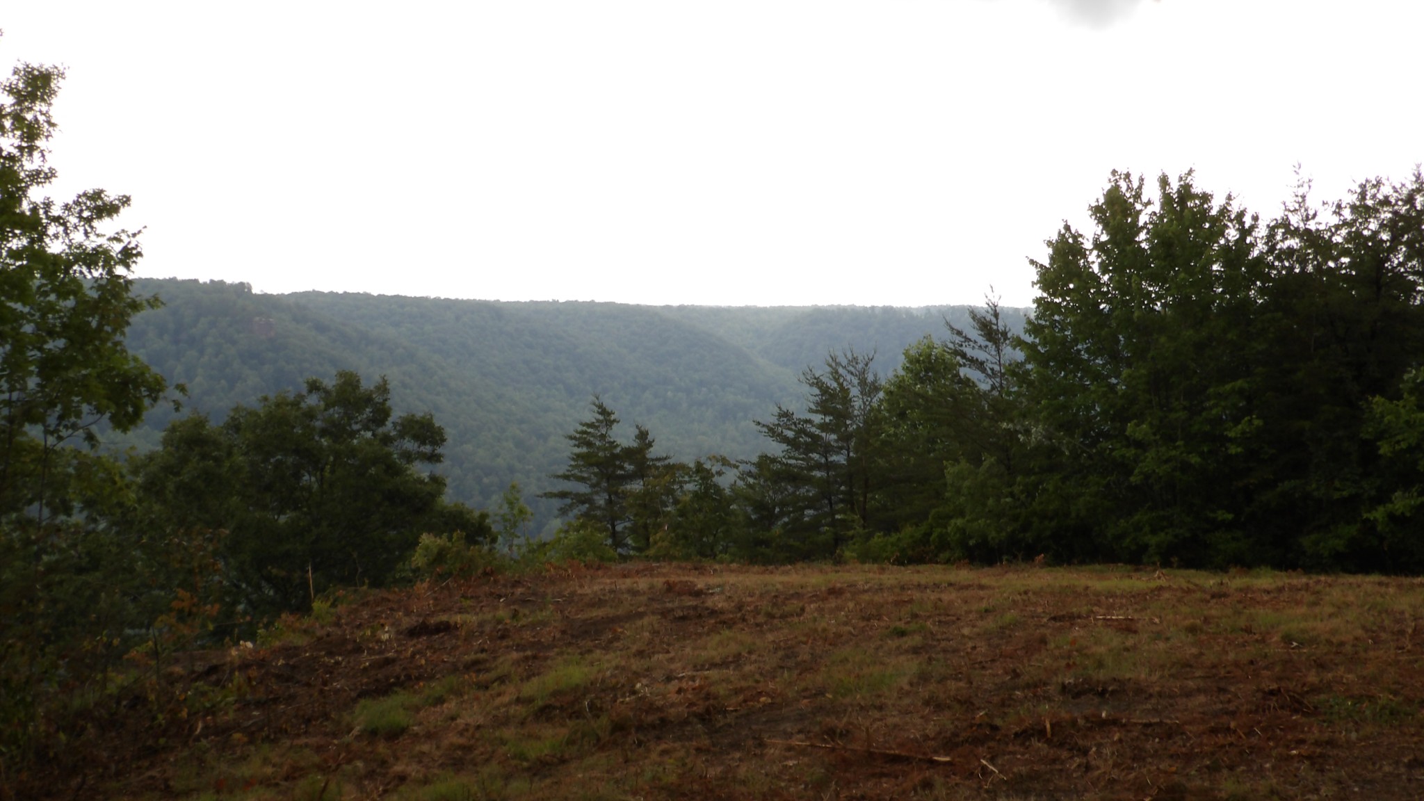 442 Valley View Circle Wilder TN 38589