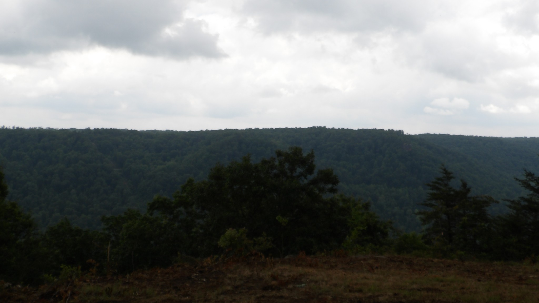 442 Valley View Circle Wilder TN 38589