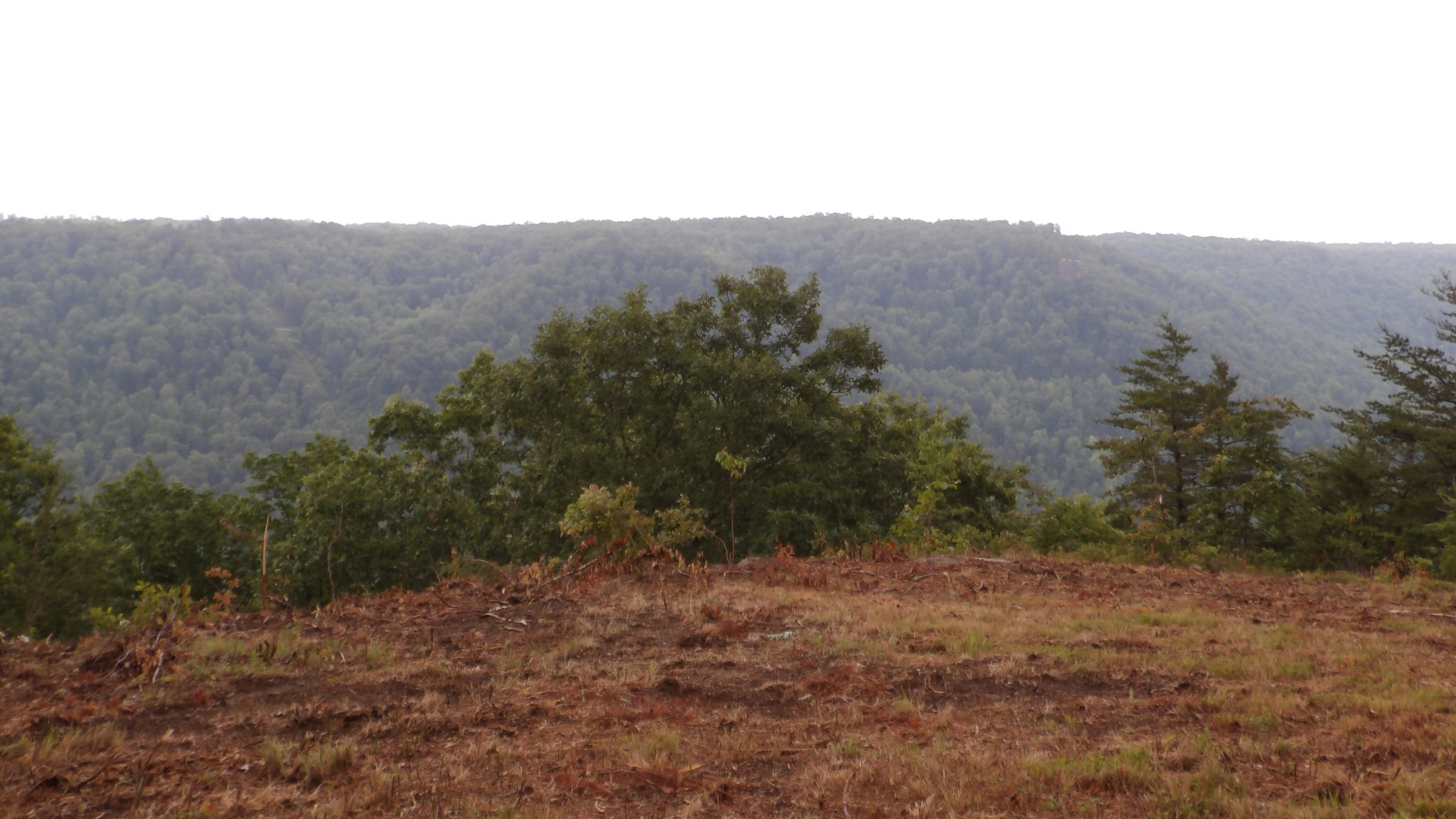 442 Valley View Circle Wilder TN 38589