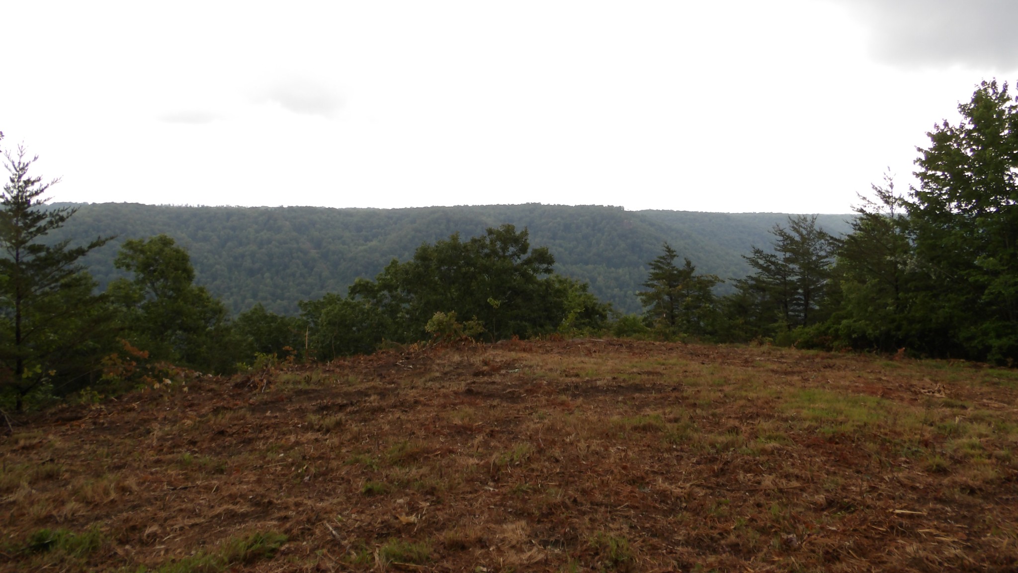 442 Valley View Circle Wilder TN 38589