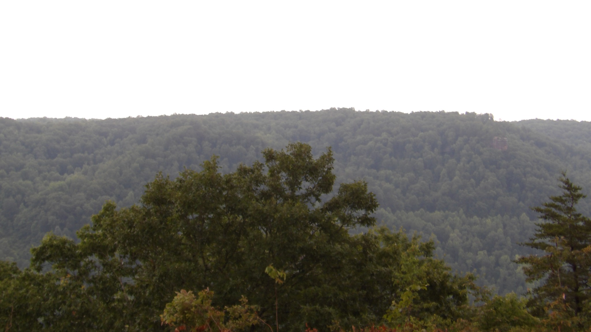 442 Valley View Circle Wilder TN 38589
