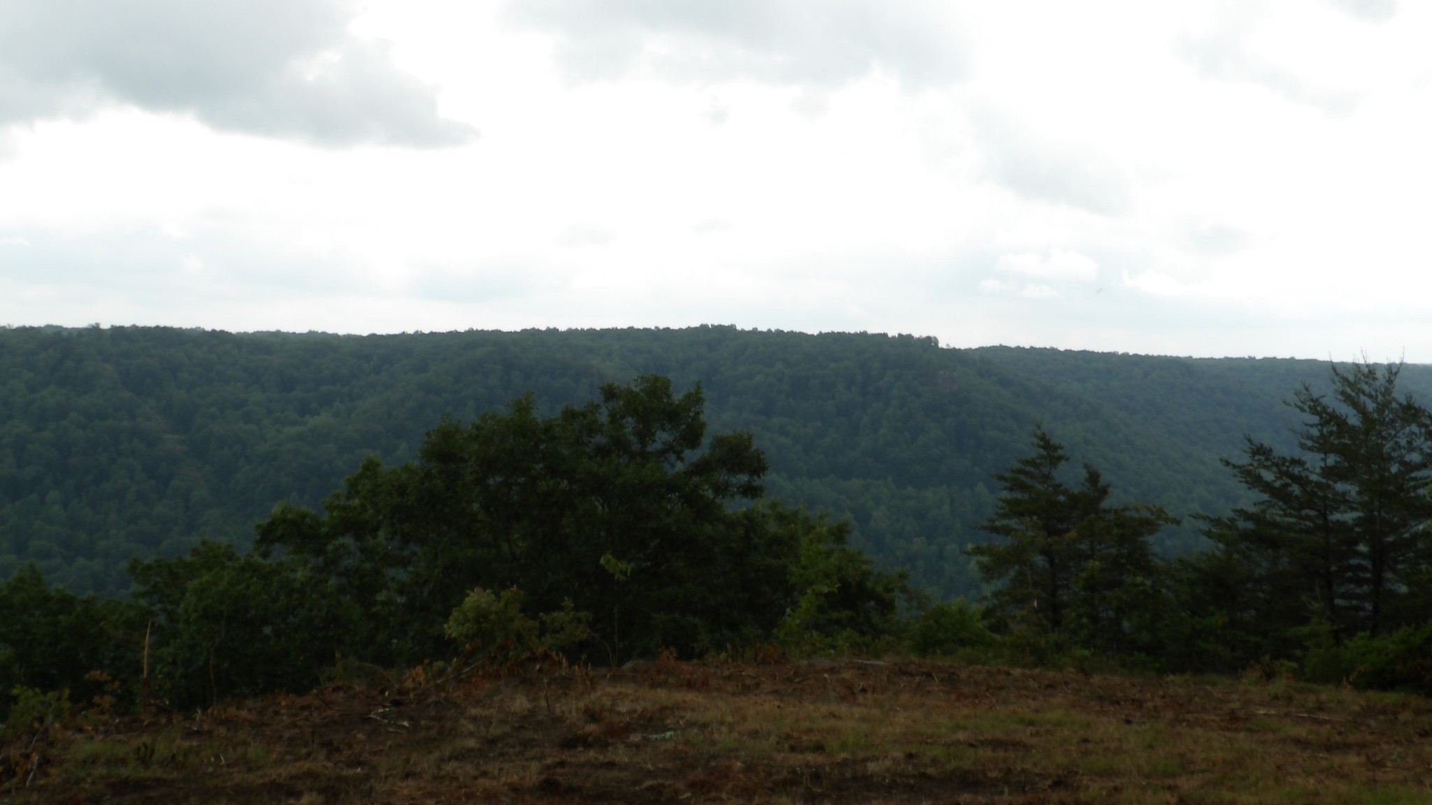 442 Valley View Circle Wilder TN 38589
