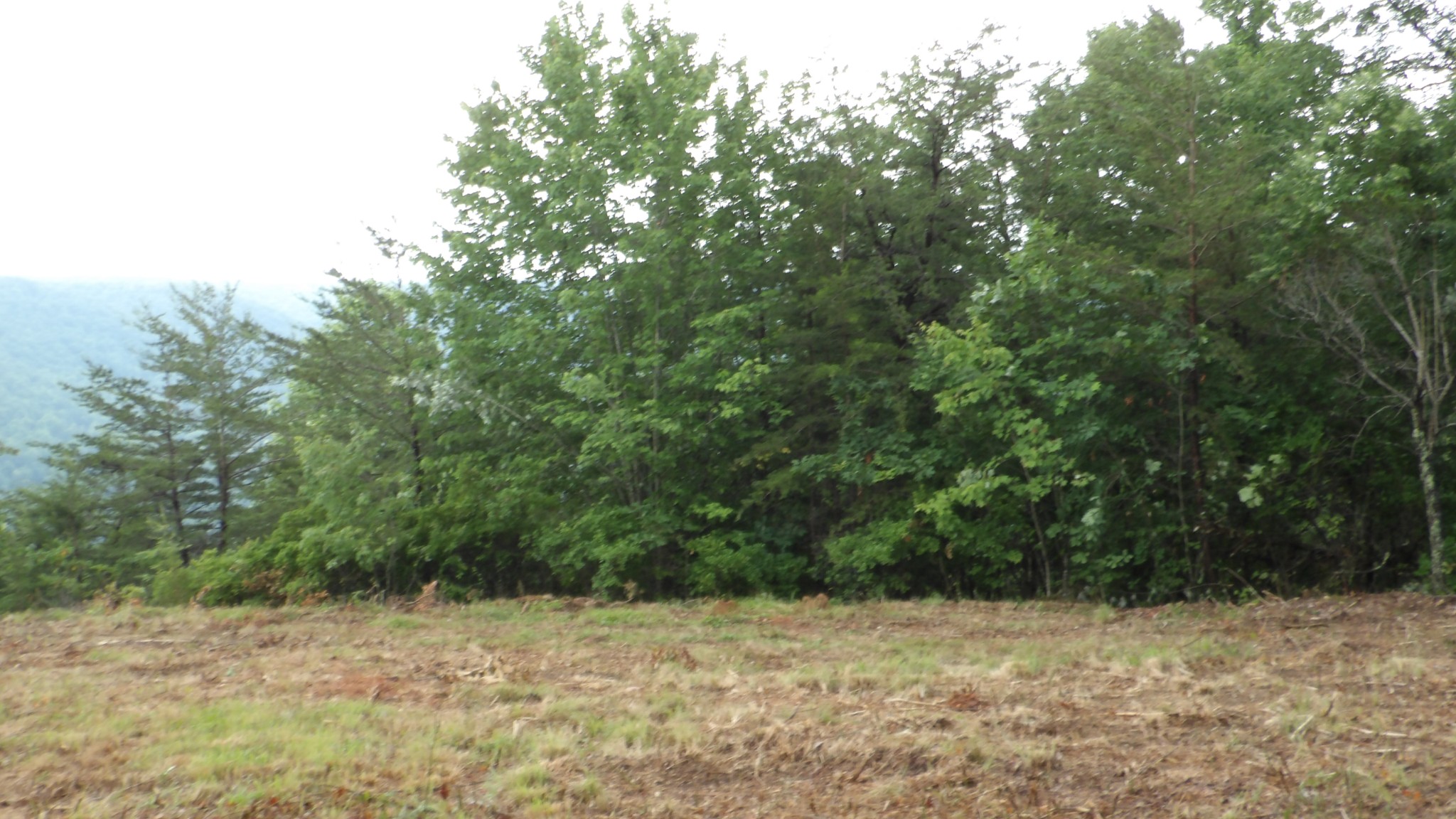 442 Valley View Circle Wilder TN 38589