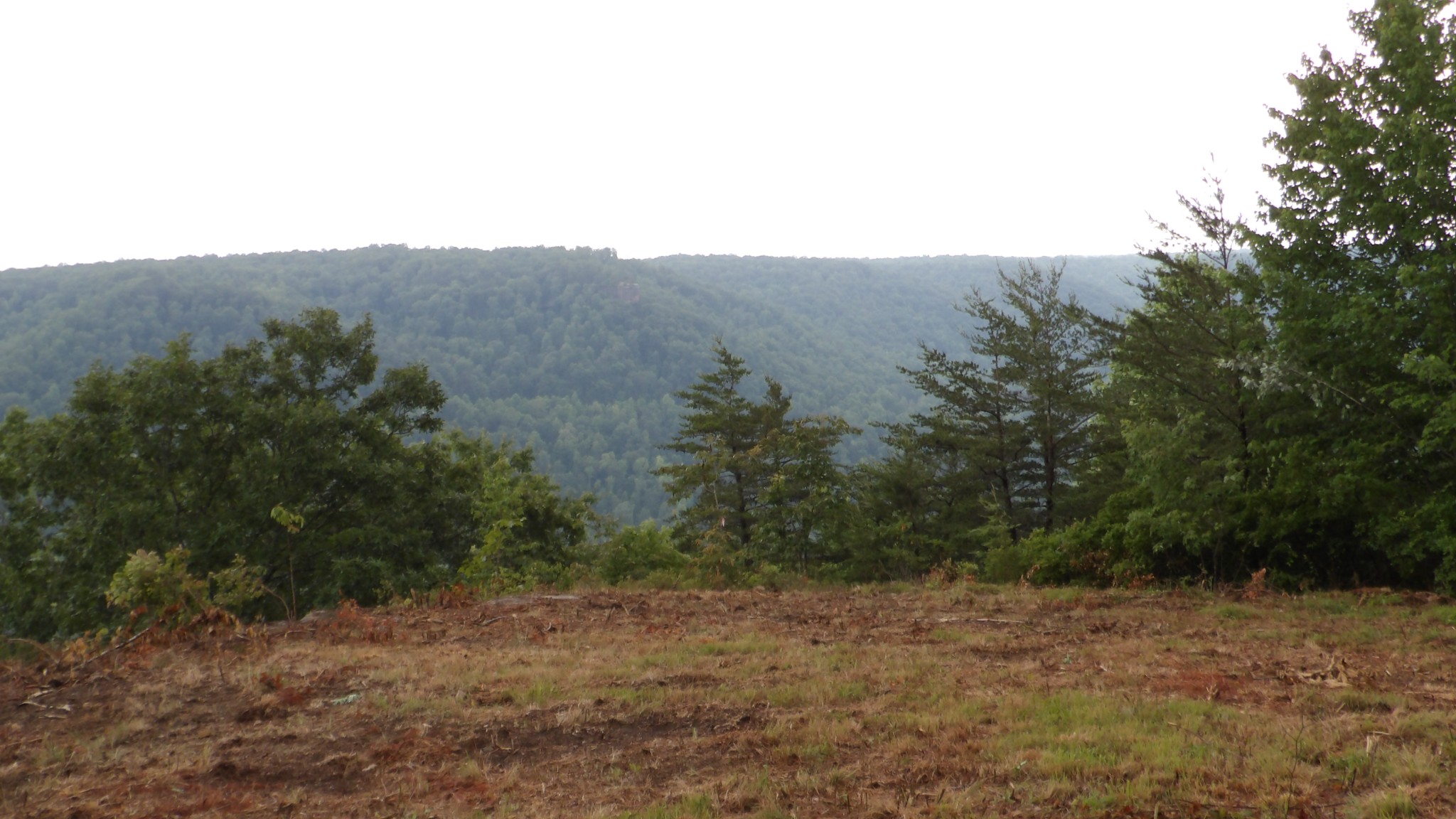 442 Valley View Circle Wilder TN 38589