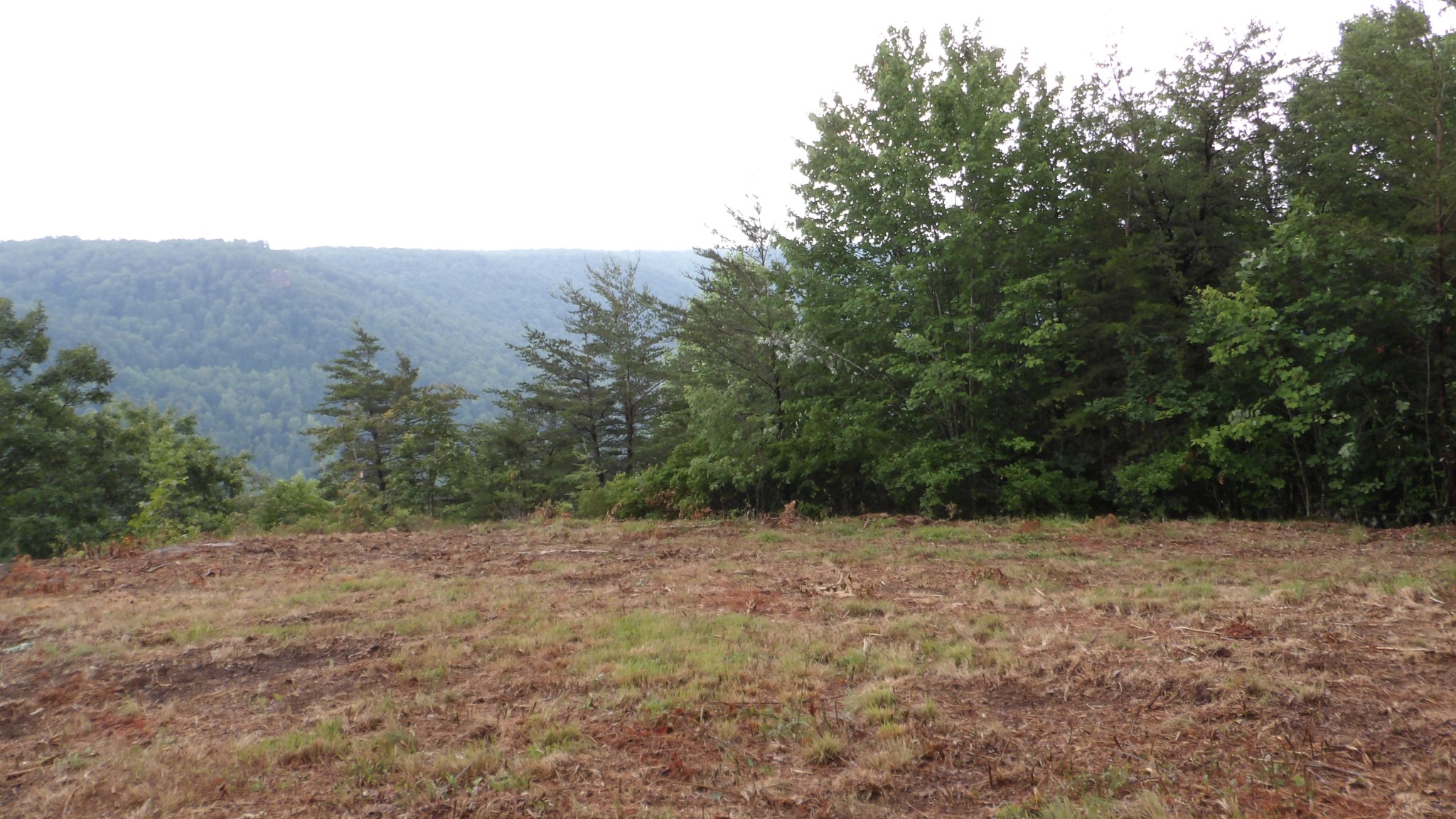 442 Valley View Circle Wilder TN 38589