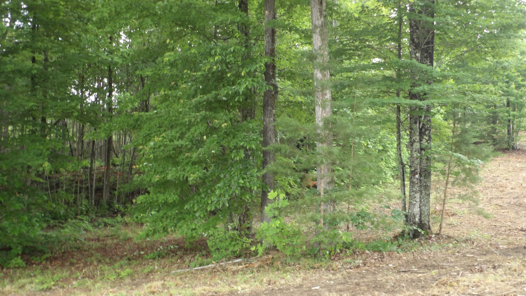 442 Valley View Circle Wilder TN 38589