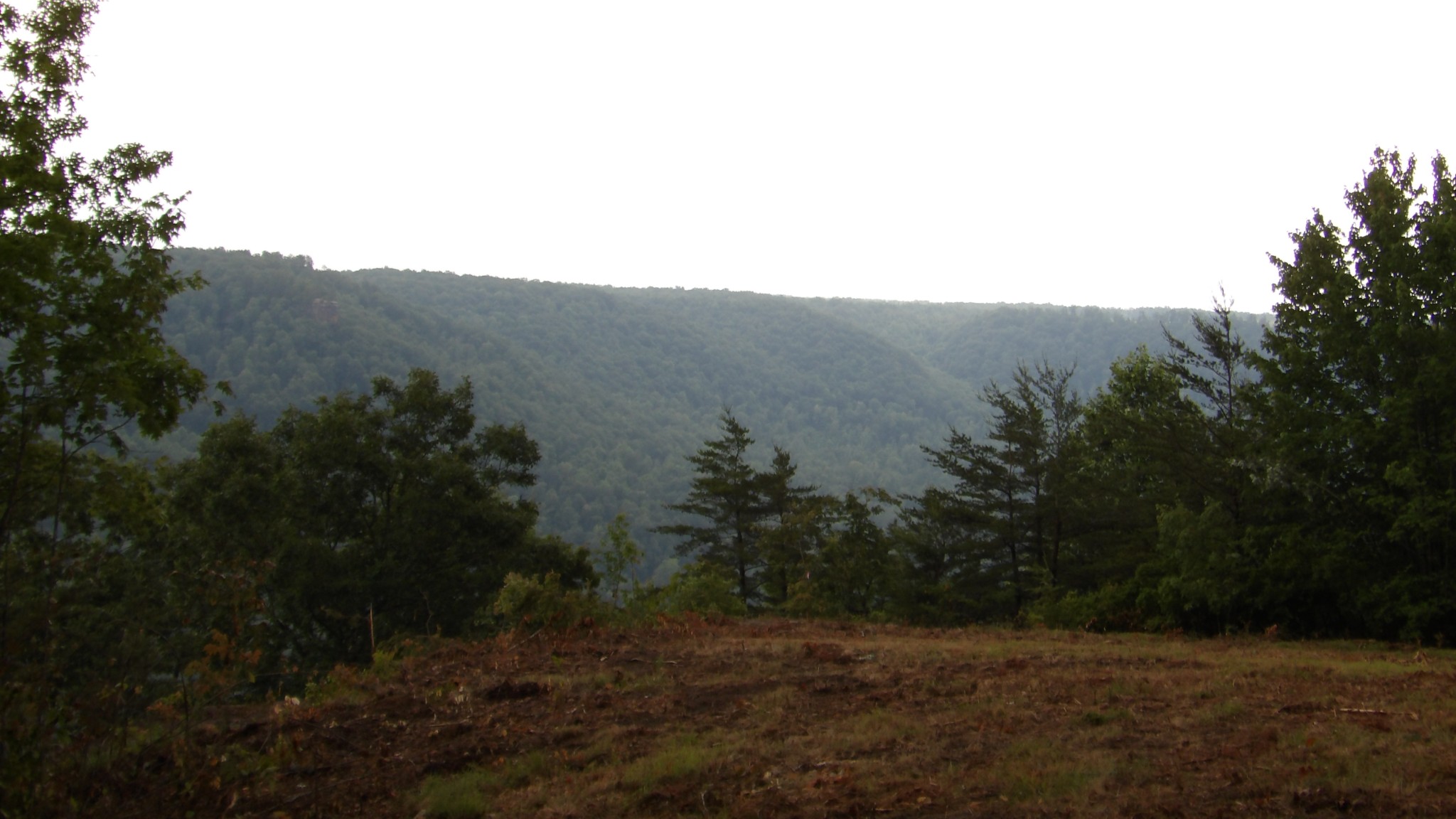 442 Valley View Circle Wilder TN 38589