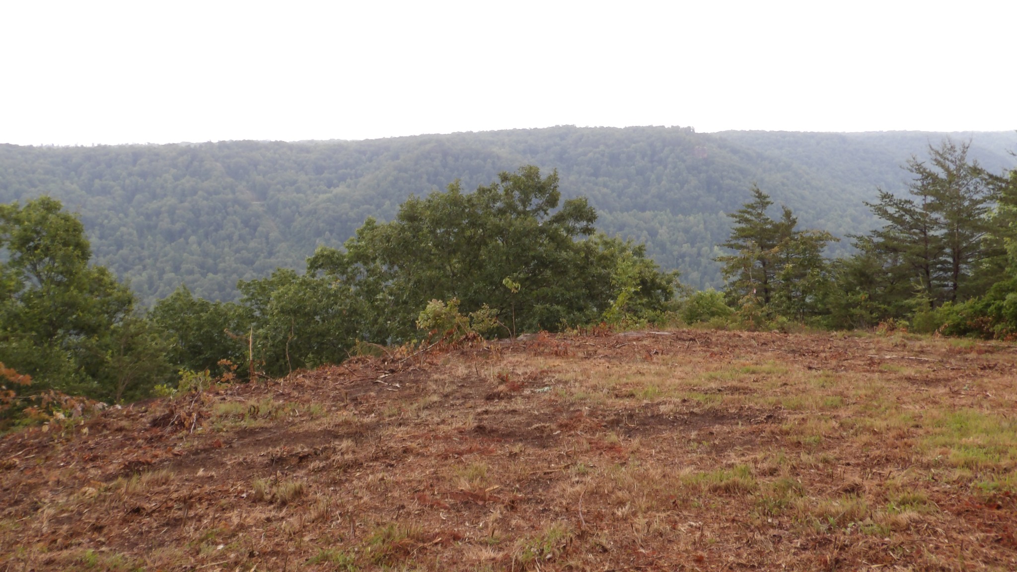 442 Valley View Circle Wilder TN 38589