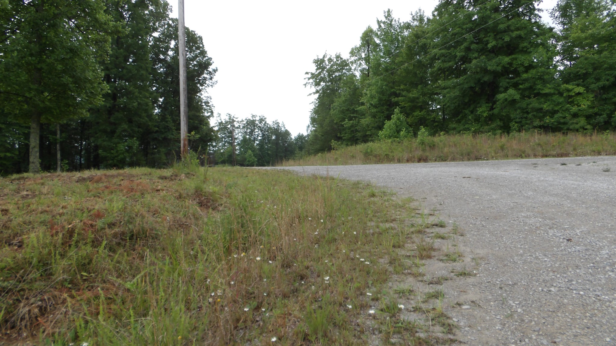 442 Valley View Circle Wilder TN 38589