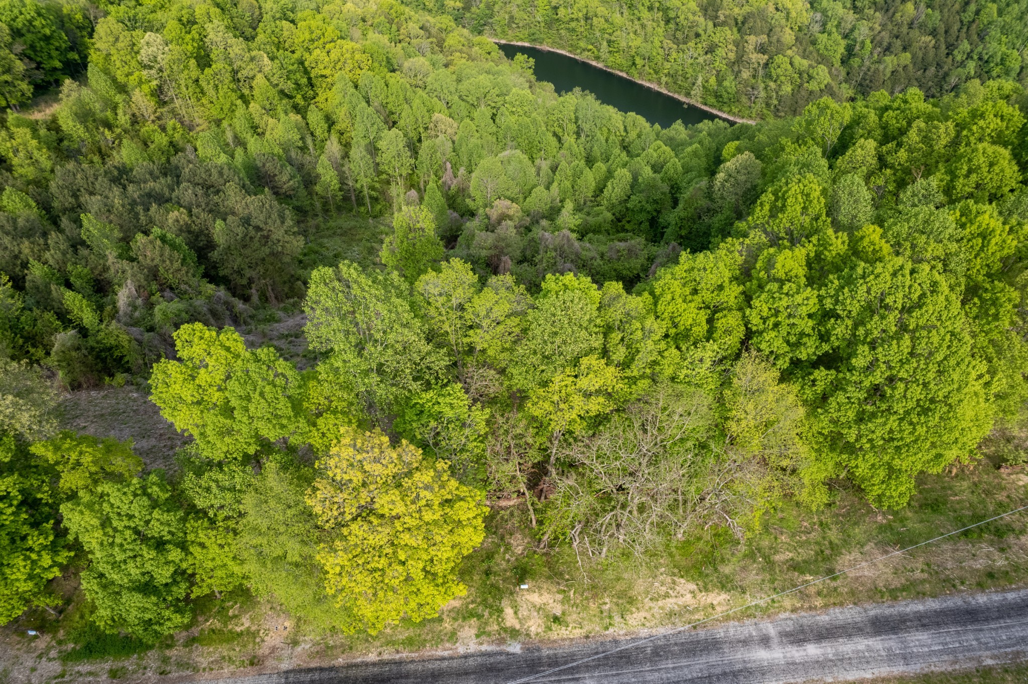 16 Caleb Way Baxter TN 38544