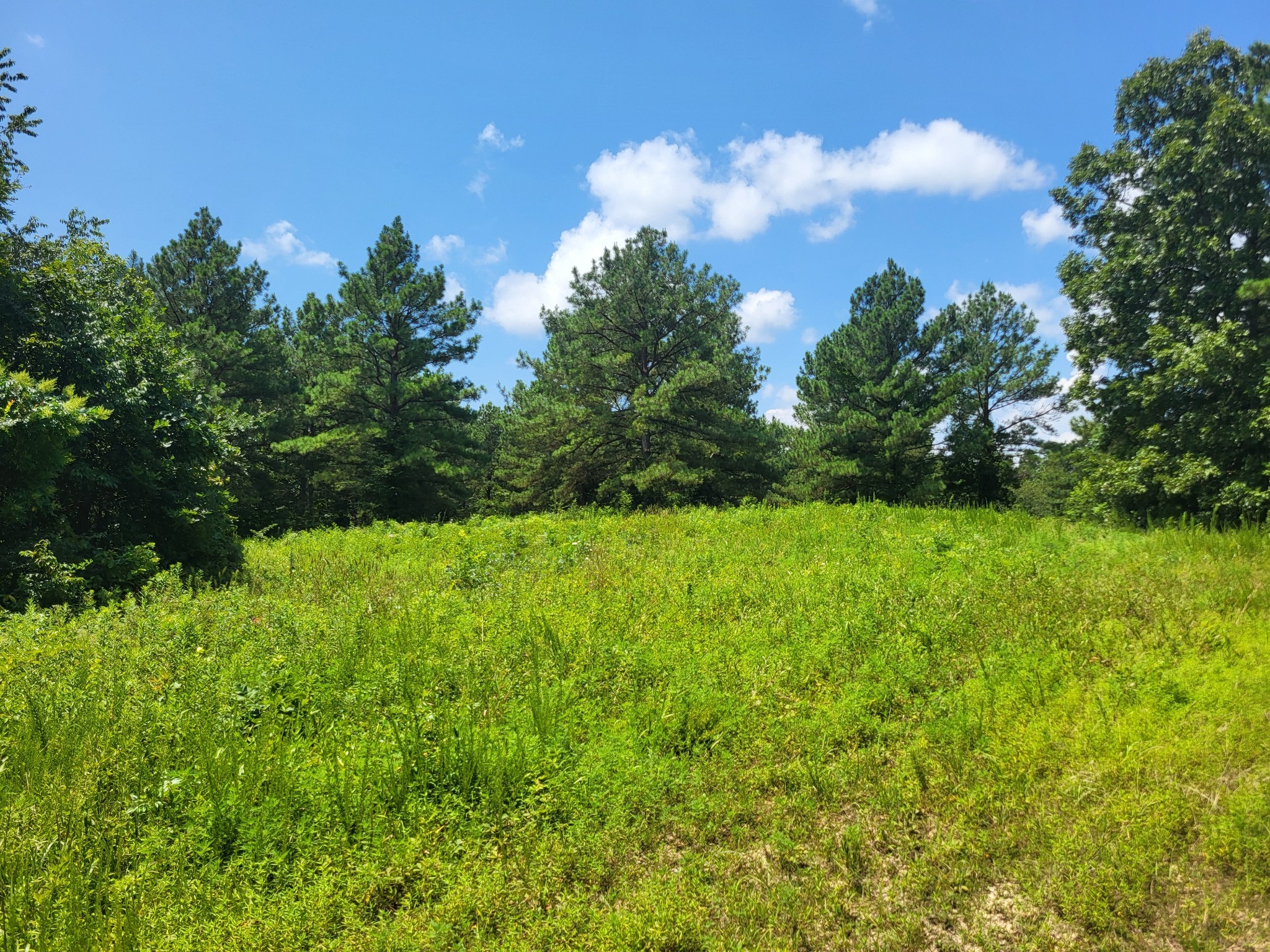 0 Strawberry Gables Holladay TN 38341