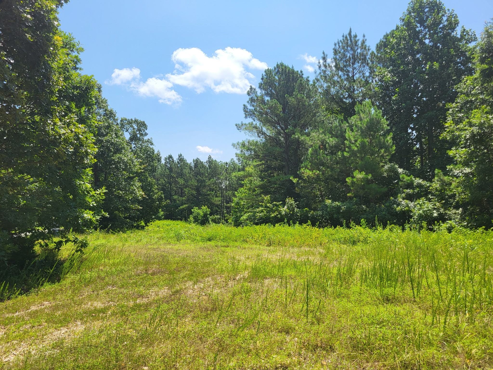 0 Strawberry Gables Holladay TN 38341