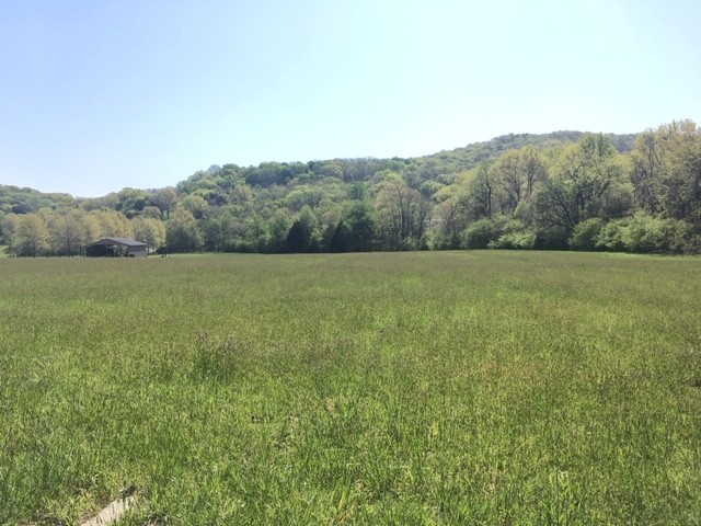 4358 Peytonsville Trinity Road Franklin TN 37064