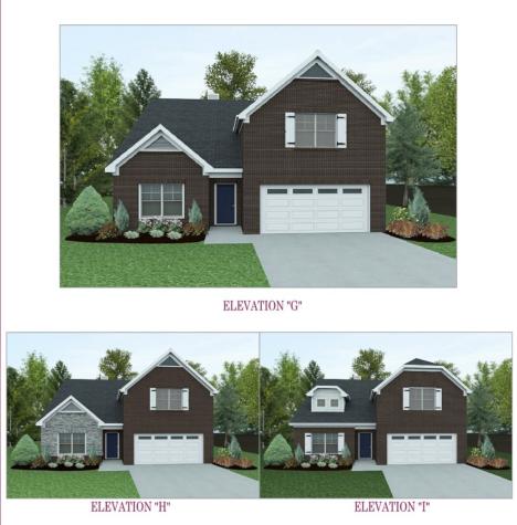 718 Rex Drive Lot 46 Spring Hill TN 37174