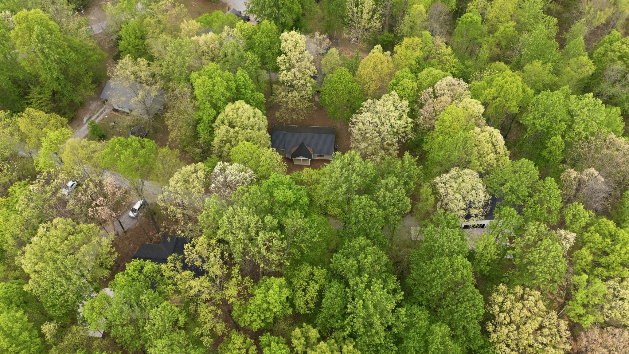 71 Periwinkle Path Leoma TN 38468