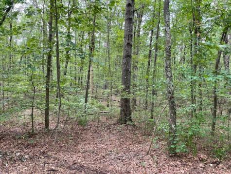 0 Shadow Rock Drive Monteagle TN 37356