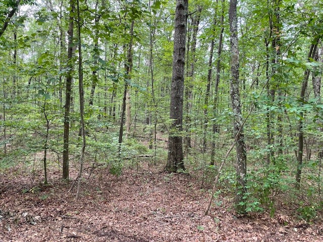 0 Shadow Rock Drive Monteagle TN 37356