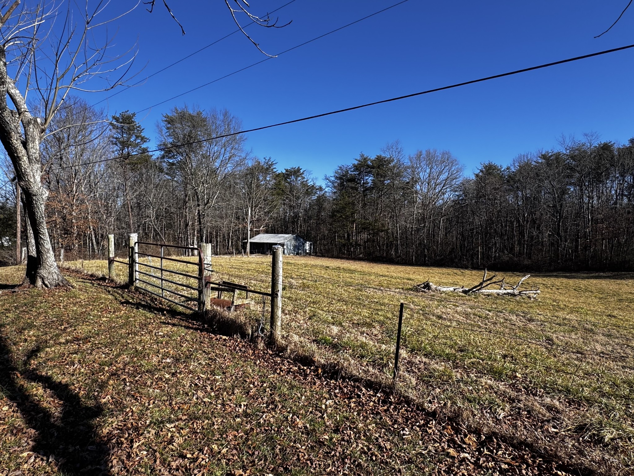 829 Sr 399 Palmer TN 37365