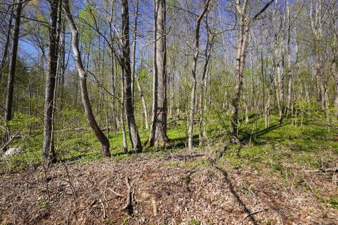 4219 Highway 49 Tennessee Ridge TN 37178
