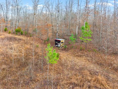 4219 Highway 49 Tennessee Ridge TN 37178